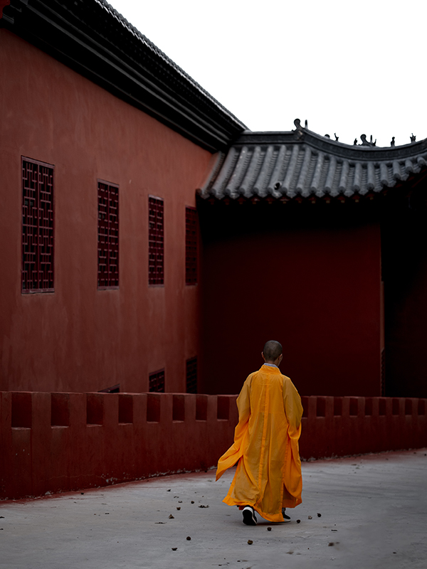 Shaolin Warrior Intensive - 2026